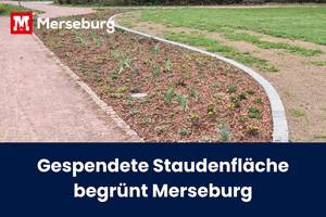 beitragsbild staudenfl che