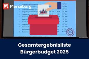 im Hintergrund die Powerpoint-Folie mit den Gewinnern bei der Verkündung, davor eine Grafik mit einer Hand, die einen Zettel mit dem Bürgerbudgetlogo in einen Abstimmungskasten steckt. Und Titel des Artikels