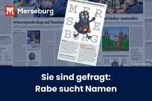 Beitragsbild Merseburger Rabe sucht Namen © José Comics, MZ, Bearbeitung durch Pressestelle der MZ Artikel vom 14.01.2025 über die neue Rabenfigur, die die Stadt für Kinder repräsentieren soll
