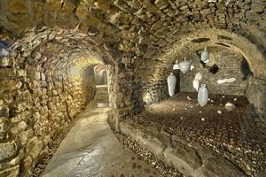 Kunstkammer im Kunsthaus 'Tiefer Keller' kunstkammer tiefer keller