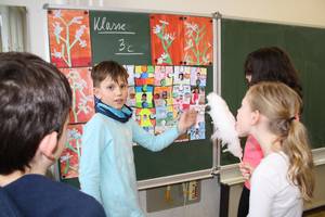 IMG 6895