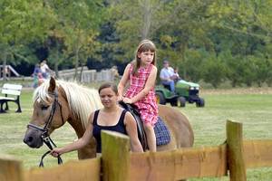 reiten